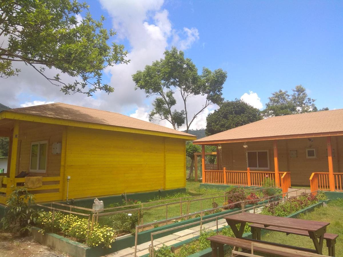 The Laughing Woods Ac Resort Котагири Екстериор снимка