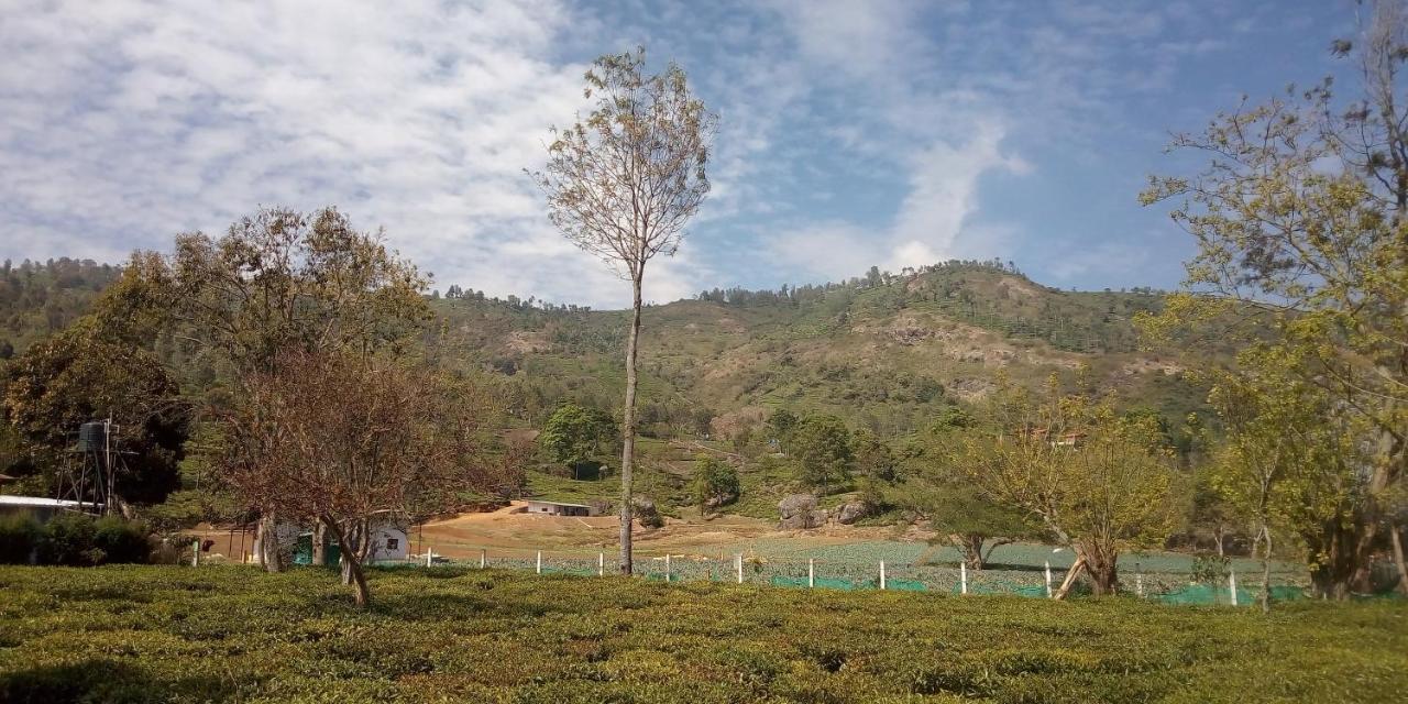 The Laughing Woods Ac Resort Котагири Екстериор снимка